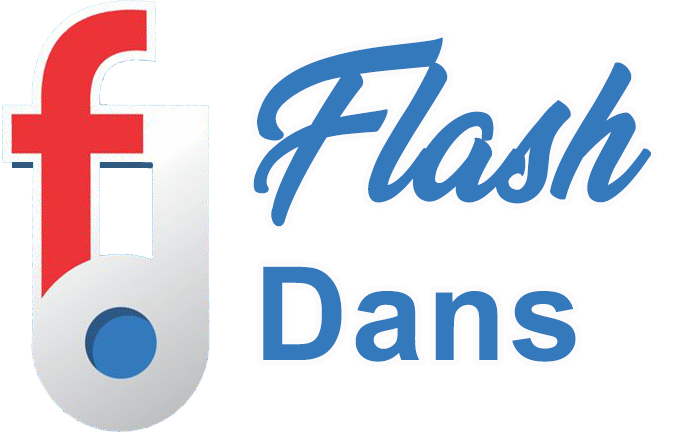 Flash Dans logo